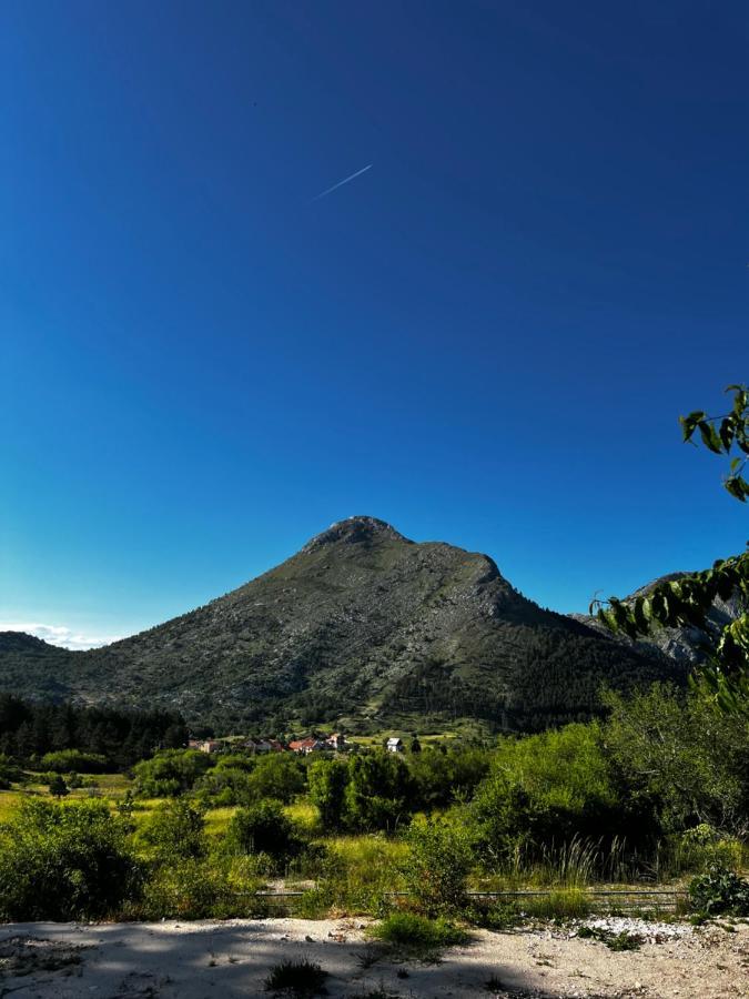 Villa Glamping Lovcen à Njegusi Extérieur photo